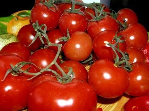 Top 10 tomato plant care ideas and inspiration