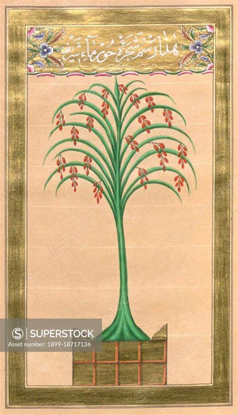 From An Illuminated Ottoman Dua Kitabi Or Prayer Book By Hasan Rashid