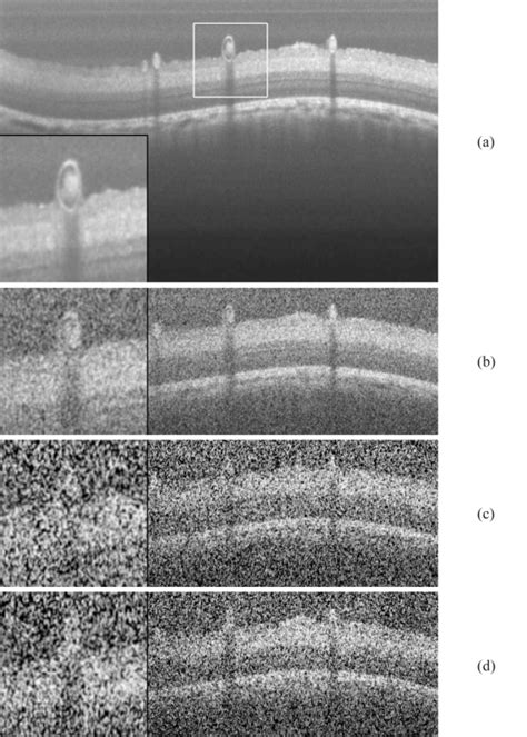 Example Images From The Pig Eye Dataset A Gold Standard Image