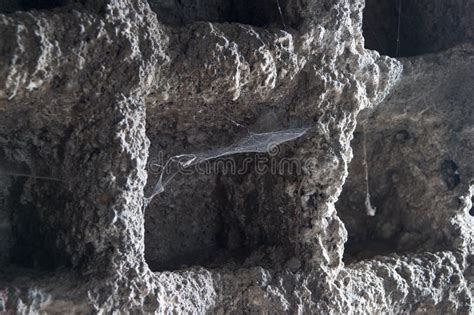 Close Up of Spiderweb in a Cave Stock Image - Image of closeup, rough: 268772977