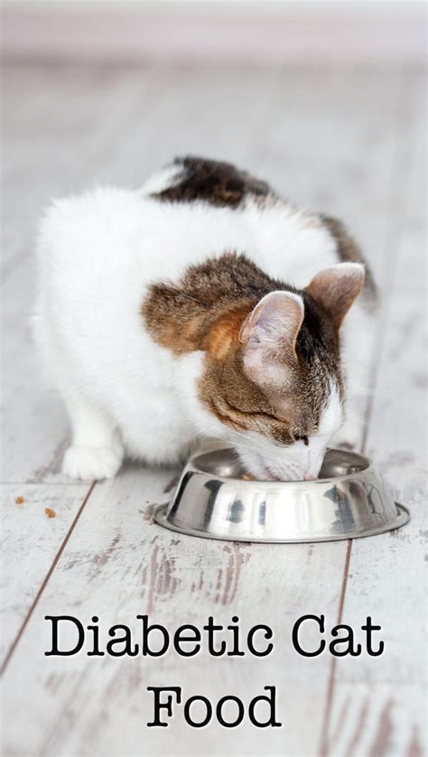 Your Guide To The Very Best Diabetic Cat Food