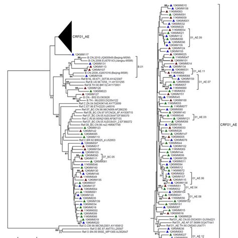 Neighbor Joining Phylogenetic Tree Of Partial Gag Gene From Newly Hiv 1