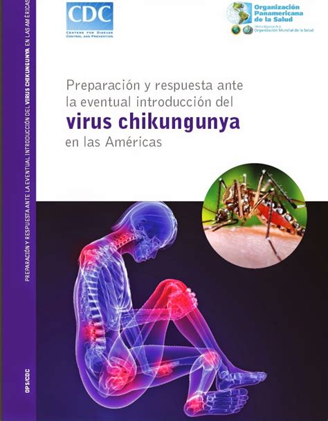 Fisioterapia Preparación Y Respuesta Ante El Virus De Chikungunya En