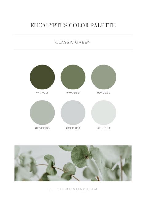 Eucalyptus Color Palette Inspiration - Jessie Monday