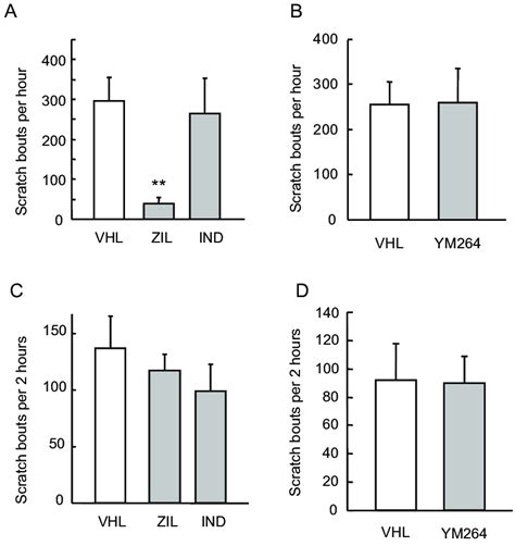 Effects Of 5 Lipoxygenase Inhibitor Zileuton Zil Cyclooxygenase