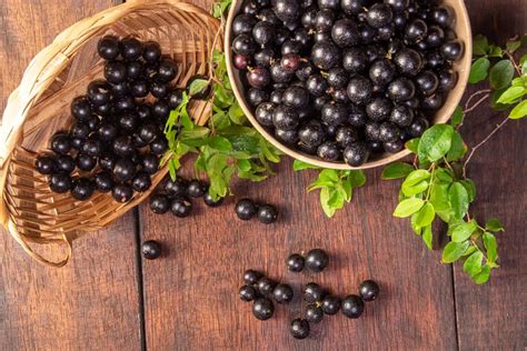 Coração brasileiro Jabuticaba a fruta que traduz o sabor do Brasil