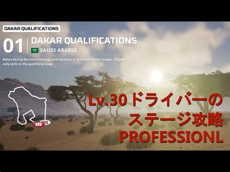 Dakar Qualifications Dakar Desert Rally YouTube