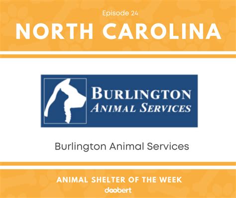 Animal Shelter of the Week: Episode 24 - Burlington Animal Services - Doobert