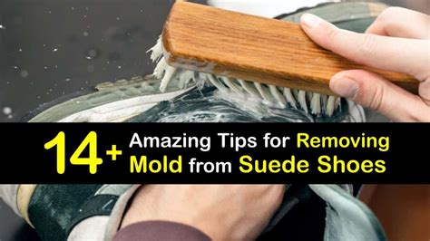 Remove Mold From A Suede Shoe Tips For Getting Mold Off Suede Shoes