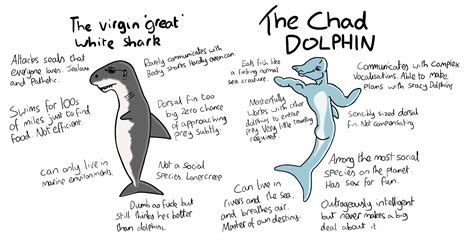 Shark vs Dolphin : r/virginvschad