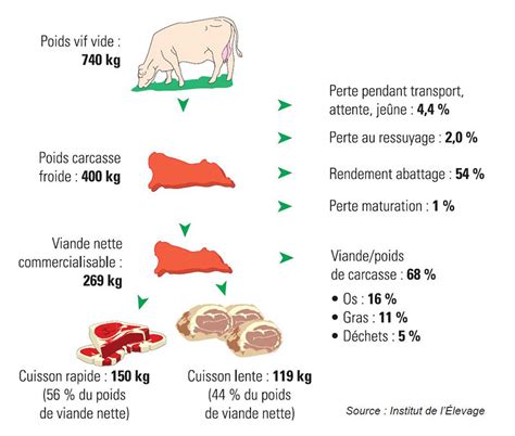 Rendement Type D Une Vache Allaitante Economie M Tiers La Viande Fr