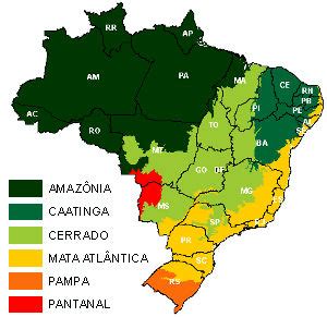 Biomas Do Brasil 2