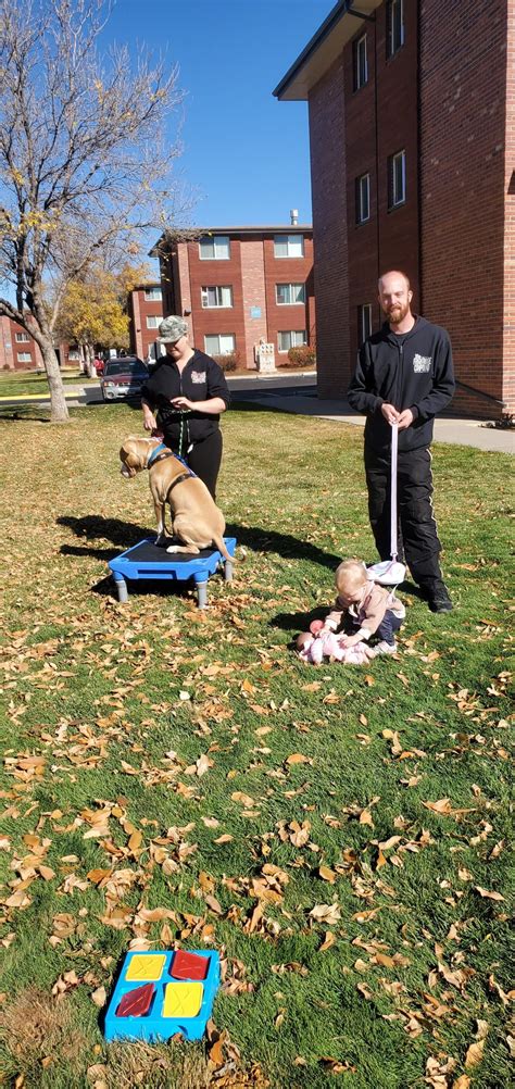 Gallery Proper Paws Dog Training