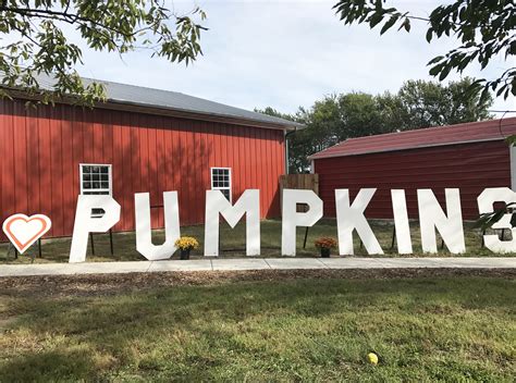 The Kc Pumpkin Patch Is The Perfect Fall Activity For Families