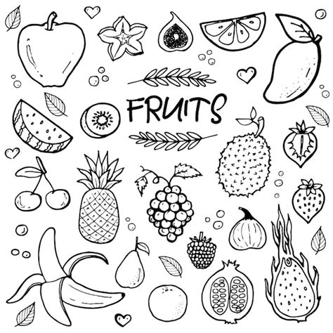 Premium Vector Hand Drawn Doodle Fruits