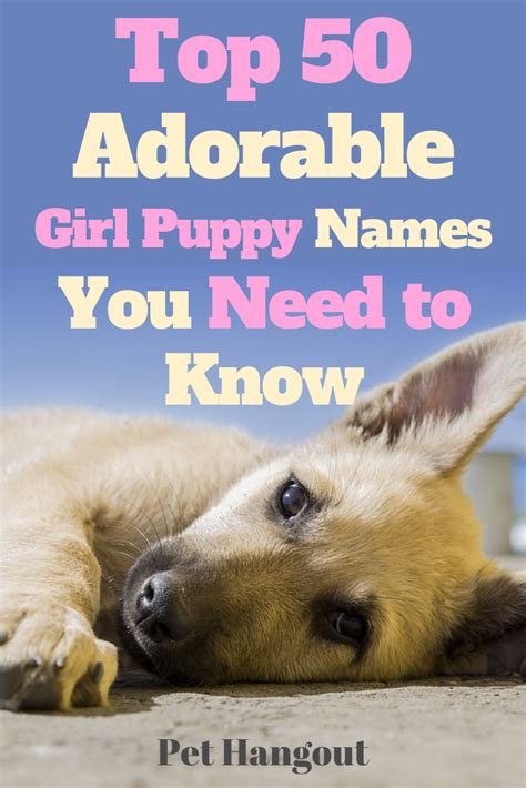 Top 50 Adorable Girl Puppy Names You Need To Know Puppy Names Cute