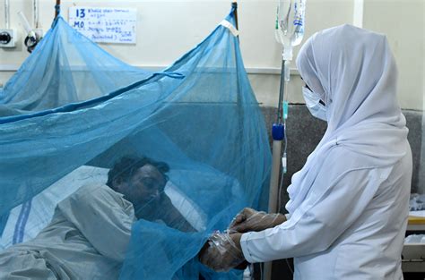 Dengue Patient