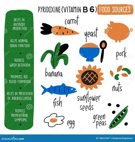 Vitamin B Food Sources Pyridoxine Vector Cartoon Illustration And