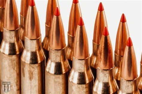 338 Lapua Ammo Vs 50 Bmg