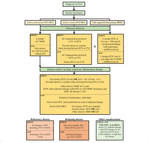 Therapeutic Recommendation Of The Remission Induction Therapy In