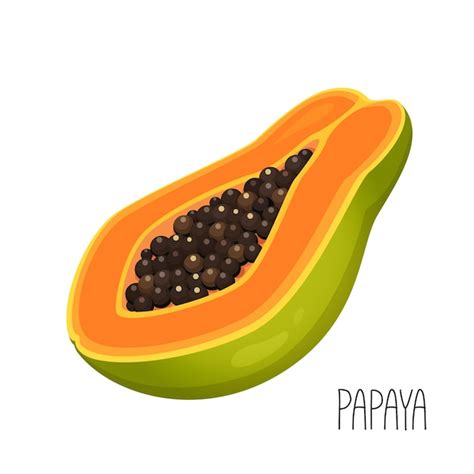 La Mitad De La Fruta De Papaya Aislado Sobre Fondo Blanco Vector Premium