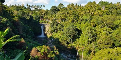 Que Faire Ubud Les Incontournables Dans Le Centre De Bali