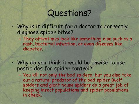 Ppt Poisonous Spiders Powerpoint Presentation Free Download Id2308766