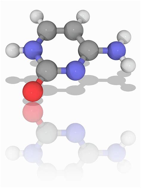 Cytosine Organic Compound Molecule Photograph By Laguna Design Science