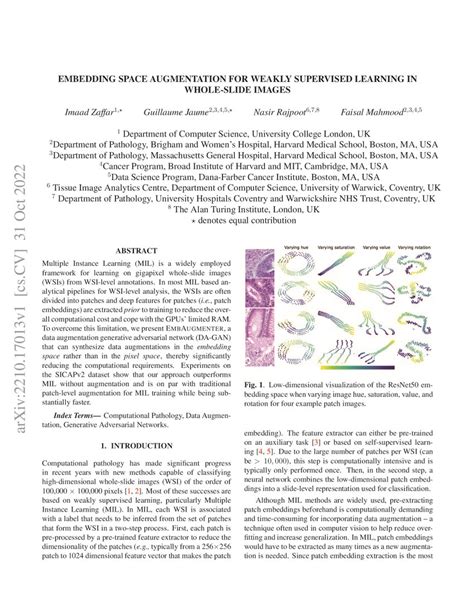 Embedding Space Augmentation For Weakly Supervised Learning In Whole