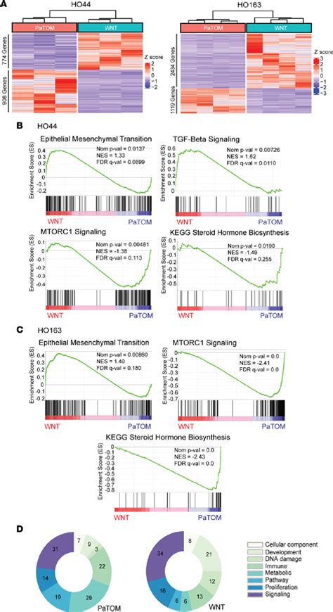 Pdos Grown In 2 Different Culture Media Show Distinct Transcriptomic Download Scientific