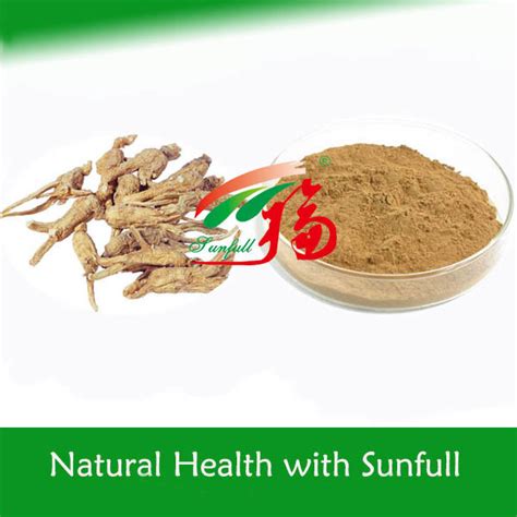 Angelica Sinensis Extractdong Quai Extract For Women Health China Angelica Root Extract And