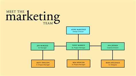 15 org chart examples and free organizational chart templates