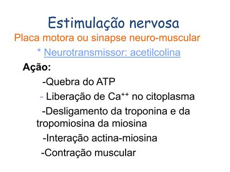 Actina E Miosina 3