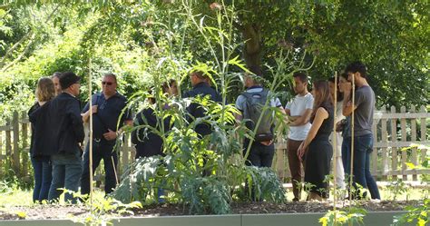 Comment créer mon jardin partagé 3 3 La vie au jardin La Ville