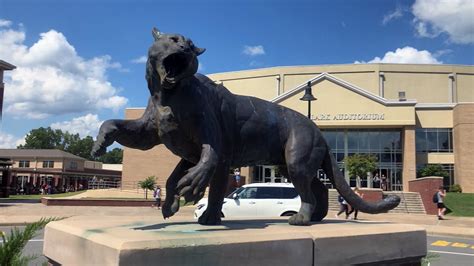 Tackling Traditions What Is A Wampus Cat