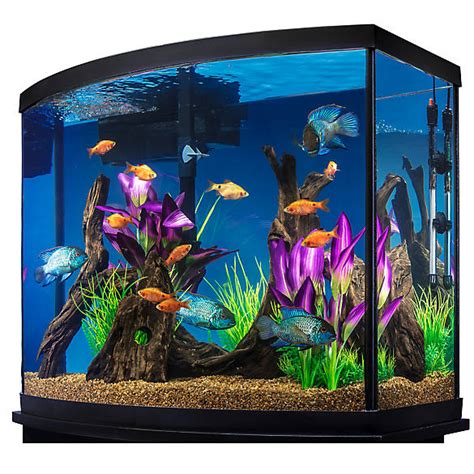 Marineland® 38 Gallon Aquarium Starter Kit | fish Starter Kits | PetSmart