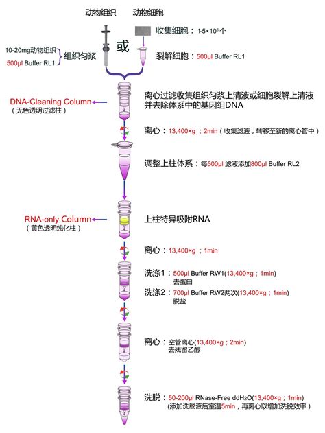 动物组织总RNA提取试剂盒 爱必信absin官网