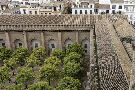 Seville Cathedral Rooftop 17153907 Stock Photo at Vecteezy