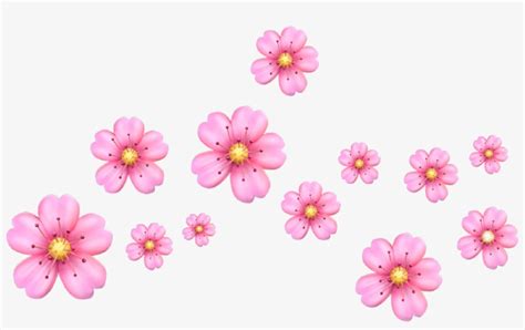 Cherry Blossom Clipart Crown - Cherry Blossom Emoji Png - 1760x1024 PNG ...