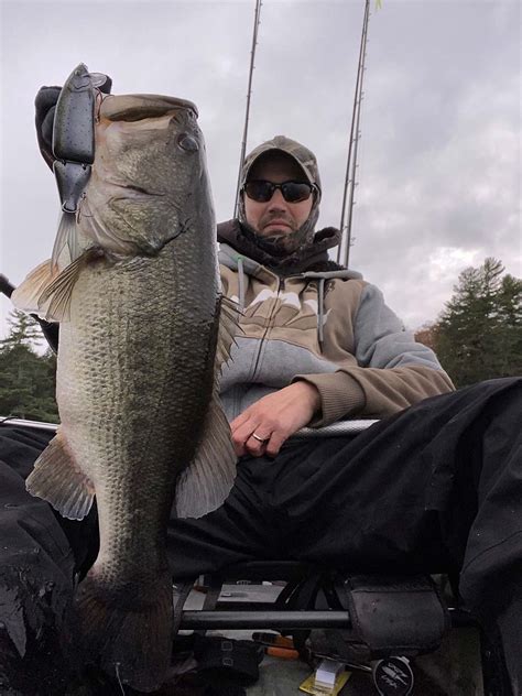 Fall Freshwater The Big Bass Transition The Fisherman