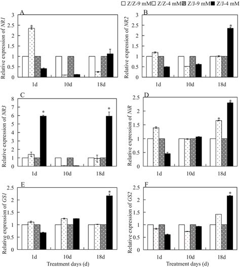 Relative Expression Of Nitrogen Metabolism Enzyme Genes Nr1 A Nr2 Download Scientific