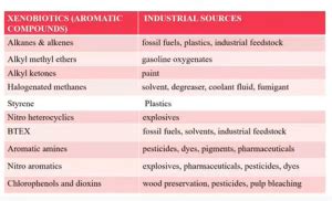 XENOBIOTICS| Overview - Biology Ease