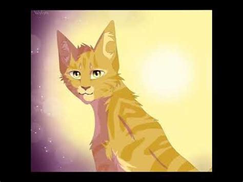 коты воители пестролистая и веснушка,остролистая - YouTube