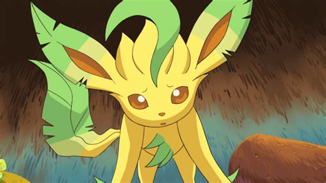 File:Leafeon anime.png - Bulbagarden Archives