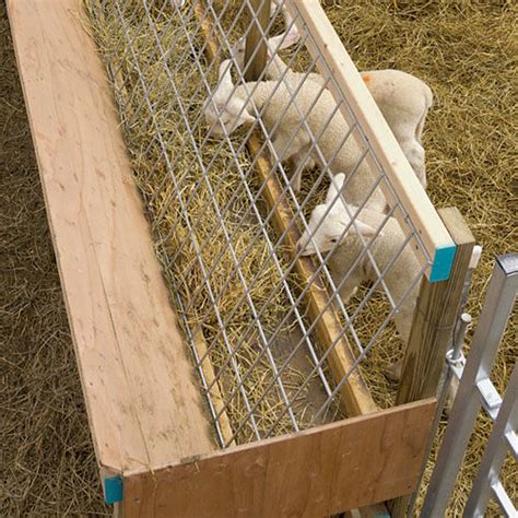 30 Wire Panel Diy Feeders For Goats And Sheep Premier1supplies