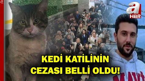 Kedi katilinin cezası belli oldu Hayvanseverler davaya akın etti A