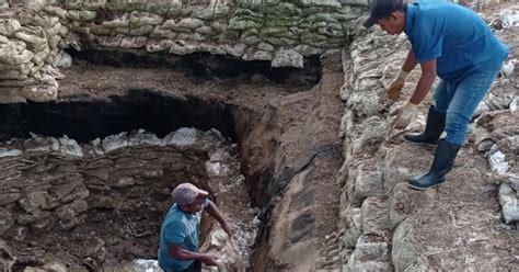 Arqueología Parque Arqueológico El Caño Se Prepara Para La Temporada De Excavación El Público