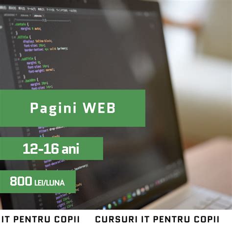 Pagini WEB Centrul Educațional Vibe Academy