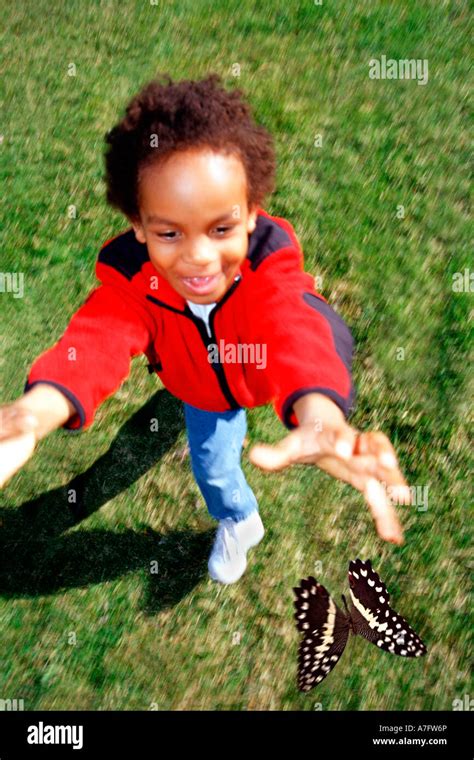 Boy chasing butterfly vertical Stock Photo - Alamy