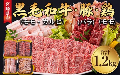 宮崎県産 焼肉 セット 黒毛和牛 モモ カルビ 豚バラ 若鶏 モモ 合計12kg 各300g 小分け 冷凍 送料無料 国産 Bbq バーベキュー キャンプ 普段使い 炒め物 丼 カット